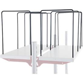 Rocholz Fachteiler für Ablageboden System Flex, 4-er, Bügelweite 300 mm