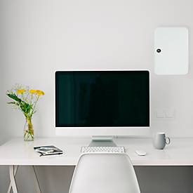 Rottner Schlüsselkassette SK 20, Zylinderschloss, für 20 Schlüssel, B 180 x T 85 x H 250 mm, Stahl, lichtgrau