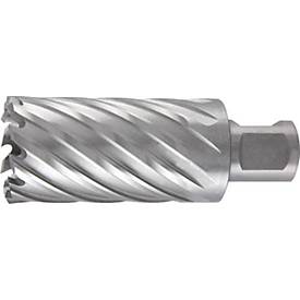 RUKO Kernbohrer Ø 19 mm HSS, Schnitt-Tiefe 55 mm, Weldon Schaft, Gesamtlänge 88 mm, für Stahl und Metalle