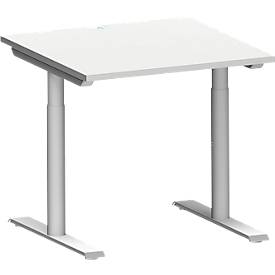Schäfer Shop Genius Bureau MODENA FLEX, tube rond à pieds en T, L 800 x P 800 mm, gris clair