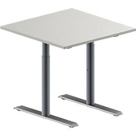 Schäfer Shop Genius Konferenztisch MODENA FLEX, Quadrat, T-Fuß Rundrohr, B 800 x T 800 x H 650-850 mm, lichtgrau/weißaluminium RAL 9006 
