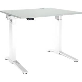 Schäfer Shop Genius Schreibtisch ERGOSTYLE S, Rechteck, elektrisch höhenverstellbar, einstufig, C-Fuß, B 1200 x T 800 x H 715-1182 mm, inkl. Memory Master, lichtgrau/weiß