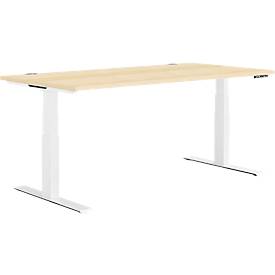 Schäfer Shop Genius Schreibtisch MODENA FLEX, elektrisch höhenverstellbar, Rechteck, T-Fuß, B 1600 x T 800 mm, Ahorn/weiß