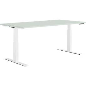 Schäfer Shop Genius Schreibtisch MODENA FLEX, elektrisch höhenverstellbar, Rechteck, T-Fuß, B 1600 x T 800 mm, lichtgrau/weiß