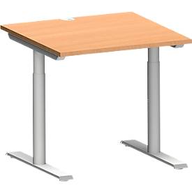 Schäfer Shop Genius Schreibtisch MODENA FLEX, T-Fuß-Rundrohr, B 800 x T 800 mm, buche/weißalu
