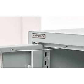 Schäfer Shop Genius Schwerlastschrank FS, Stahlblech, mit Sichtfenster, B 1055 x T 520 x H 1950 mm, 5 OH, lichtgrau, bis 1000 kg