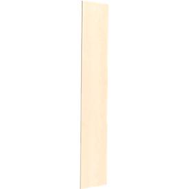 Schäfer Shop Genius Seitenverblendung TETRIS SOLID, für Metall-Korpus, H 2239 mm, für 6 OH-Schränke, 19 mm stark, Ahorn-Dekor