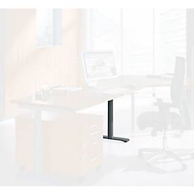 Schäfer Shop Pied de table Genius, raccourci, en acier, adapté au système de table MODENA FLEX (piétement en C/piétement en T), anthracite