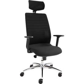 Schäfer Shop Select Bureaustoel SSI Proline Edition 10, met armleuningen, synchroonmechanisme, ergonomische zitting, netrugleuning, hoofdsteun, zwart/zilver