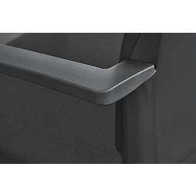 Schäfer Shop Select Freischwinger SSI Proline Visit P2, grau