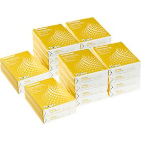 Schäfer Shop Select Kopierpapier Paper@Print, DIN A4, 80 g/m², weiß, 2 Kartons à 10 x 500 Blatt