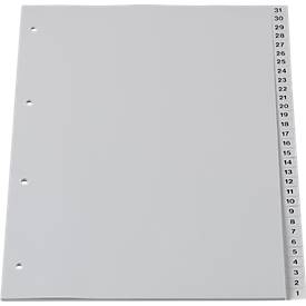 Schäfer Shop Select Rücklaufendes PP-Register, Zahlen 31-1