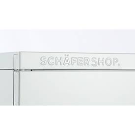 Schäfer Shop Select Stahlschrank, 2 OH, 2 höhenverstellbare Einlegeböden, Drehzylinderschloss, B 916 x T 422 x H 1000 mm, lichtgrau RAL 7035/lichtgrau RAL 7035