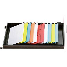 Schäfer Shop Select Trieur de classement oblique, pour tiroirs de profondeur 800 mm, 11 compartiments format A4