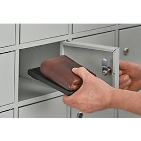 Schäfer Shop Select Wertfachschrank, 10 Fächer, Türen mit Zylinderschlössern inkl. Schlüsseln & Hauptschlüssel, B 390 x T 200 x H 780 mm, Stahlblech, lichtgrau RAL 7035