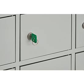 Schäfer Shop Select Wertfachschrank, 10 Fächer, Türen mit Zylinderschlössern inkl. Schlüsseln & Hauptschlüssel, B 390 x T 200 x H 780 mm, Stahlblech, lichtgrau RAL 7035