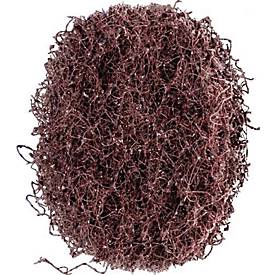 Schleifvliesscheibe POLINOX D.40mm medium 100 braun PFERD, 100 Stück