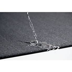 Schmutzfangmatte Eazycare Aqua, Bahnenware, 910 mm, grau