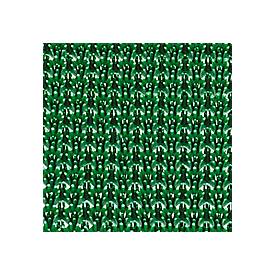 Schmutzfangmatte EAZYCARE TURF, aus Polyethylen, für Innen und Außen, 570 x 860 mm, grün