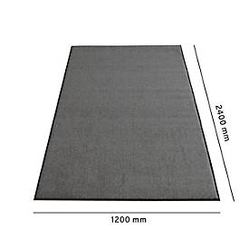 Schmutzfangmatten Eazycare Aqua, schnelltrocknend, farb- & UV-beständig, B 1200 x L 2400 mm, Olefin, grau