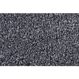 Schmutzfangmatten Eazycare Aqua, schnelltrocknend, farb- & UV-beständig, B 600 x L 900 mm, Olefin, grau