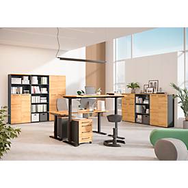 Schreibtisch Agenda Home, elektrisch höhenverstellbar, B 1200 x T 800 x H 720-1200 mm, Grandson-Eiche/Schwarz + Memory-USB-Panel