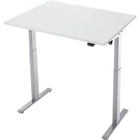 Schreibtisch, elektrisch höhenverstellbar, Rechteck, T-Fuß, B 1200 x T 800 x H 720-1200 mm, lichtgrau/silber