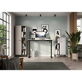 Schreibtisch Monaco, elektrisch höhenverstellbar, Rechteck, T-Fuß, Memorybedienpanel, B 1600 x T 800 x H 720-1190 mm, kaschmir/schwarz