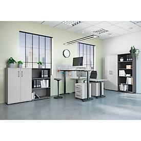 Schreibtisch Profi 2.0, elektrisch höhenverstellbar, B 1600 x T 800 x H 710 - 1190 mm, lichtgrau/schwarz