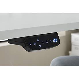 Schreibtisch, Rechteck, elektrisch höhenverstellbar, T-Fuß, B 1600 x T 800 x H 620-1280 mm, inkl. Memory Master + Tischtrennwand, Ahorn-Dekor/silber