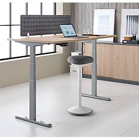 Schreibtisch, Rechteck, elektrisch höhenverstellbar, T-Fuß, B 1600 x T 800 x H 620-1280 mm, inkl. Memory Master + Tischtrennwand, Eiche-Dekor/silber