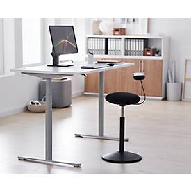 Schreibtisch, zweistufig elektrisch höhenverstellbar, T-Fuß Rundrohr, B 1600 x T 800 x H 634-1294 mm, weiß/weißaluminium