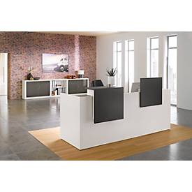 Sichtblenden f. Basic C, graphit