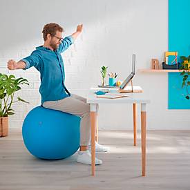 Sitzball Leitz Ergo Cosy, Stärkung der Rücken- und Rumpfmuskulatur, Stoffüberzug, ⌀ 650 mm, blau