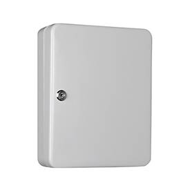 FORMAT Sleutelkast SK 49, voor wandmontage, 49 haken, deurscharnier rechts, Cilinderslot met 2 sleutels, incl. verankeringsmateriaal, B 240 x D 80 x H 300 mm, plaatstaal, lichtgrijs RAL 7035