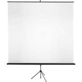 Stativ-Leinwand Classic, B 2000 x H 2000 mm, Teilung 1:1, höhenverstellbar, mit Griff, Gewebe und Metall, schwarz-weiß