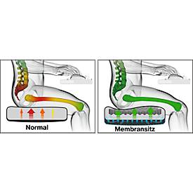 Steifensand Bürostuhl CETO CT2450, Synchronmechanik, ohne Armlehnen, Membransitz, mit Nackenstütze, schwarz