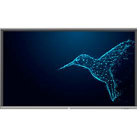 Touch-Monitor Avtek Connect lite, 75", 4K UHD, 3840 x 2160 px, 2 x 16 W, USB/LAN/WLAN/Bluetooth/HDMI/VGA, schwarz