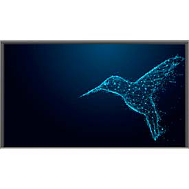 Touch-Monitor Avtek Connect lite, 86", 4K UHD, 3840 x 2160 px, 2 x 16 W, USB/LAN/WLAN/Bluetooth/HDMI/VGA, schwarz