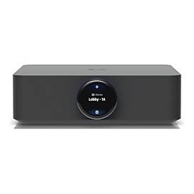 Ubiquiti PowerAmp - Netzwerkverstärker - 2 x 130 Watt - Schwarz