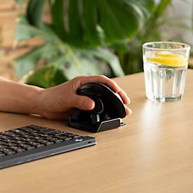 Vertikalmaus R-Go Twister, ergonomisch, beidhändig, 400-2400 dpi, 2 Tasten & Scrollrad, LED-Pausenanzeige, Bluetooth/USB, schwarz