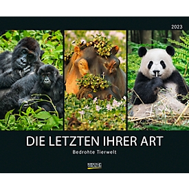  Wandkalender Korsch Bedrohte Tierwelt 2023, 1 Blatt je Monat, FSC Papier, L 550 x 455 mm