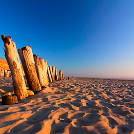 akoestisch fotopaneel, staand hout, 1500x1500 mm