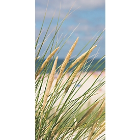 Akustik-Bild, Gräser, 800x1600 mm