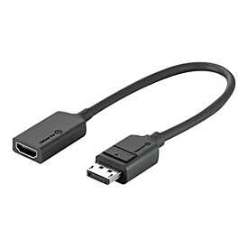 Alogic Elements Series - Videoadapter - DisplayPort