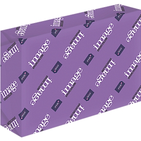 Antalis Image Digicolor Kopierpapier, 120 g/m², DIN A3, 1 Pack à 250 Blatt, weiss