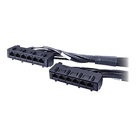 APC Data Distribution Cable - Netzwerkkabel - TAA-konform - RJ-45 (W)