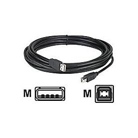 APC NetBotz USB Latching Cable - USB-Kabel - USB Typ B (M)