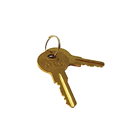 APG Schlüssel für Kassenschublade (Packung mit 2)