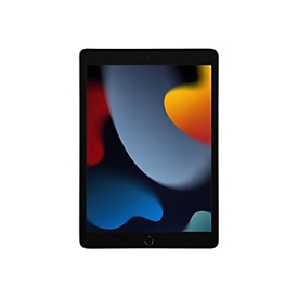 Apple 10.2-inch iPad Wi-Fi - 9. Generation - Tablet - 256 GB - 25.9 cm (10.2") IPS (2160 x 1620) - Space-grau